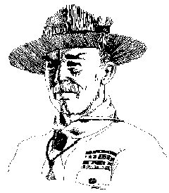 bipi